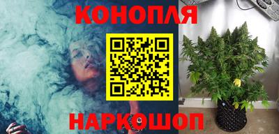 spice Бердск