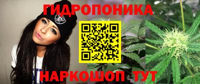 spice Бердск