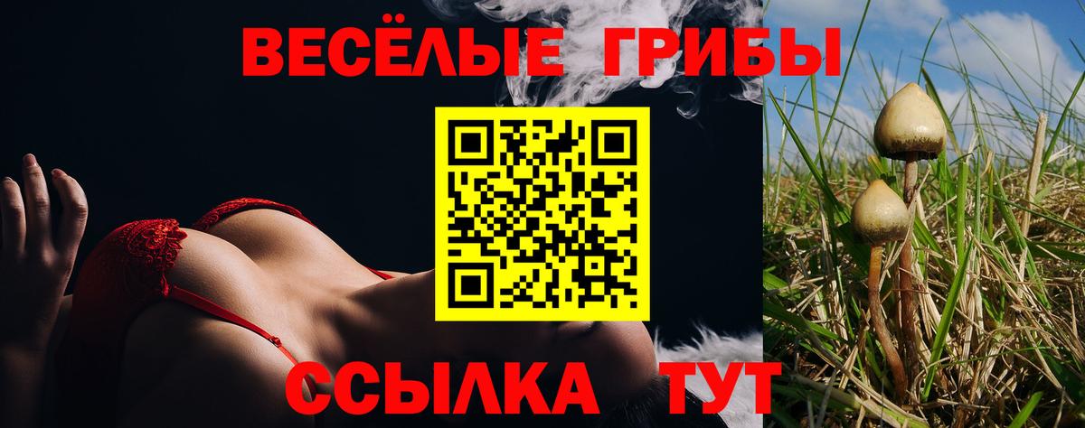закладка  Псилоцибиновые грибы Psilocybe  Вход с VPN  Псилоцибиновые грибы Magic Shrooms  Гагарин 